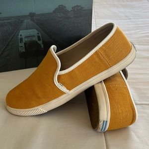 Toms canvas shoes